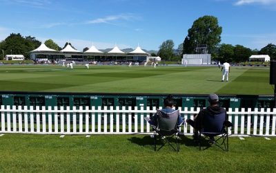 Can You 2023 Cricket Betting Predictions: Pro Tips to Win in India (2027)