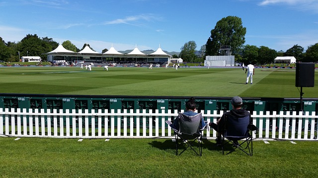Can You 2023 Cricket Betting Predictions: Pro Tips to Win in India (2027)